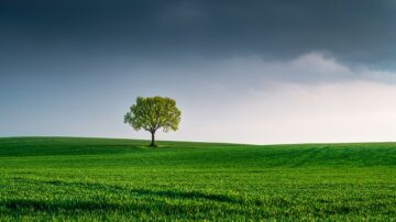 Drzewa decyzyjne – intuicyjny algorytm, który porządkuje dane i decyzje