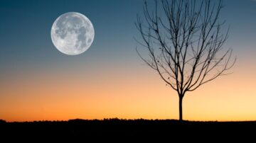 Chińskie robo-psy szykują się do lotu na Księżyc