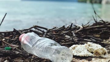 Koniec domowej segregacji? Naukowcy opracowali przełomowy sposób recyklingu plastiku